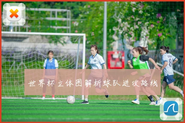 世界杯立体图解析球队进攻路线
