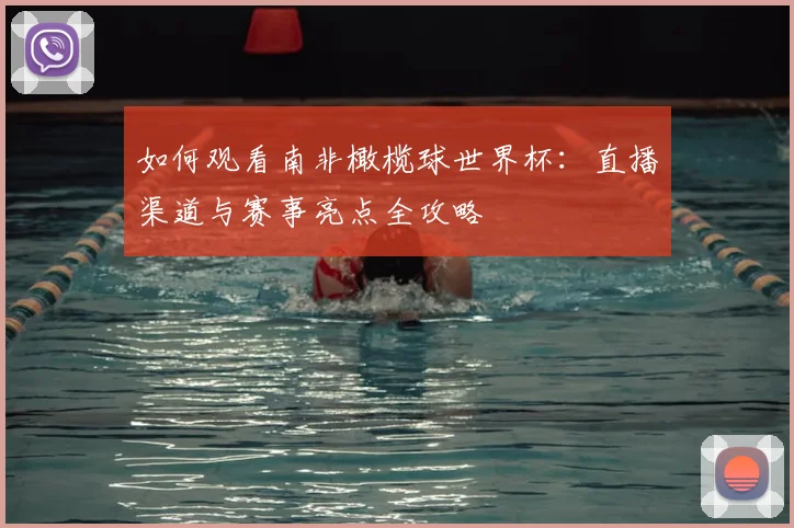 如何观看南非橄榄球世界杯：直播渠道与赛事亮点全攻略