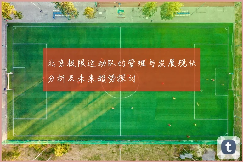 北京极限运动队的管理与发展现状分析及未来趋势探讨