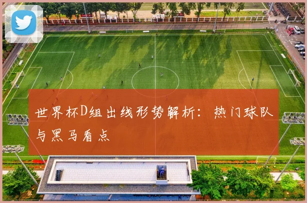 世界杯D组出线形势解析：热门球队与黑马看点