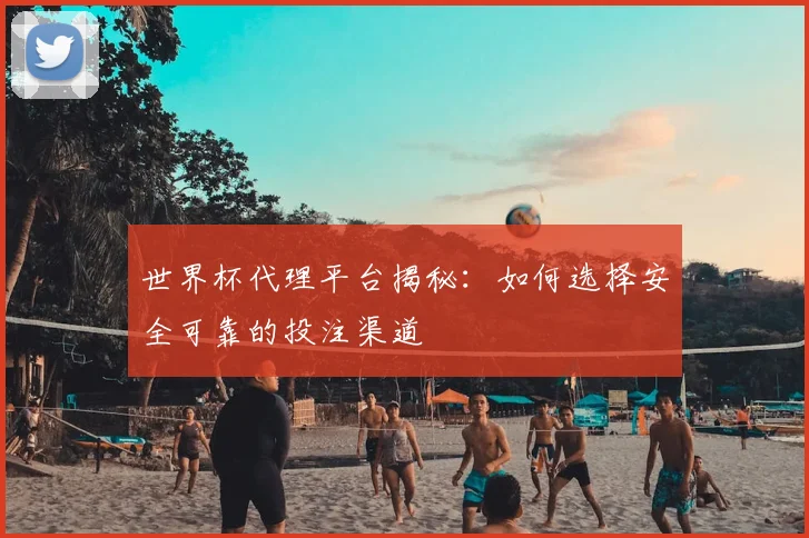 世界杯代理平台揭秘：如何选择安全可靠的投注渠道