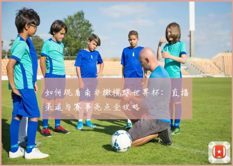 如何观看南非橄榄球世界杯：直播渠道与赛事亮点全攻略