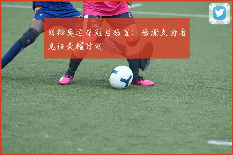 刘翔奥运夺冠后感言：感谢支持者见证荣耀时刻