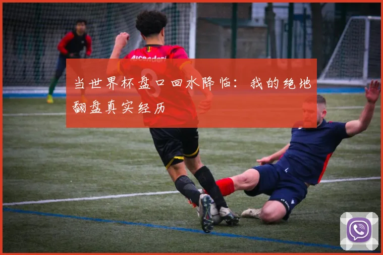 当世界杯盘口回水降临：我的绝地翻盘真实经历