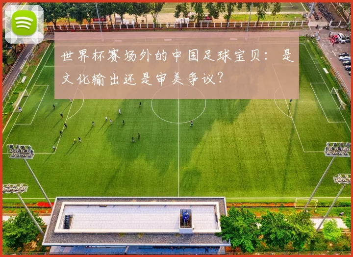 世界杯赛场外的中国足球宝贝:是文化输出还是审美争议?