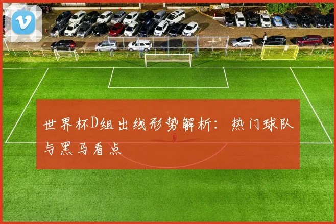 世界杯D组出线形势解析：热门球队与黑马看点