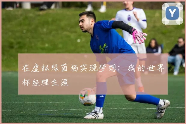 在虚拟绿茵场实现梦想:我的世界杯经理生涯